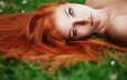 трава, девушка, портрет, взгляд, модель, лицо, длинные волосы, рыжеволосая