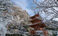 деревья, снег, храм, зима, ветки, пагода, япония, киото, mimuroto-ji temple