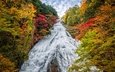 деревья, пейзаж, водопад, осень, япония, yudaki waterfall