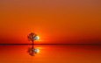 вода, дерево, закат, отражение, пейзаж, оранжевое небо