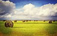 трава, облака, пейзаж, поле, сено, тюки, фермы, рулоны
