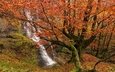 деревья, лес, водопад, осень, испания, бискайя, страна басков, природный парк горбеа