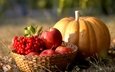 яблоки, осень, ягоды, плоды, тыква, калина