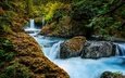 река, скалы, природа, лес, водопад, вашингтон, little white salmon river, spirit falls