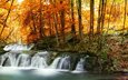 деревья, лес, листья, ручей, водопад, осень, желтые