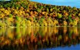 деревья, вода, отражение, осень, красота, пейзаж. природа, время года
