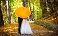 зонтик, жених, невеста, композиция