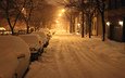 дорога, ночь, деревья, фонари, снег, зима, город, дома, авто, сша, нью-йорк, ноч, олбани, нью - йорк
