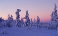деревья, снег, закат, зима, финляндия, леви, лапландия