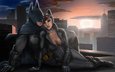 крыша, костюмы, batman:arkham city, batman x catwoman