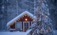 природа, новый год, елка, лес, зима, дом, ель, рождество, гирлянда, финляндия, лапландия