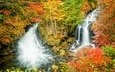 скалы, пейзаж, водопад, осень, япония