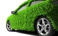 трава, зелёный, белый фон, автомобиль