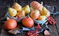 фрукты, осень, ягоды, овощи, тыквы, натюрморт, груши, anna verdina