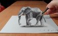 рисунок, слон, 3д
