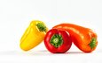 белый фон, овощи, перец, bell peppers, yellow bell pepper, red bell peppers