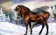 арт, лошадь, снег, зима, взгляд, холод, следы, животное, грива, живопись