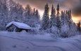 деревья, снег, лес, зима, сугробы, избушка, финляндия, лапландия, акасломполо, юлляс, иэбушка