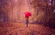 дорога, девушка, пейзаж, листва, осень, спина, красный зонтик