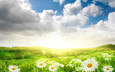 небо, свет, цветы, трава, облака, солнце, природа, пейзаж, поле, ромашки