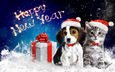 арт, снег, новый год, животные, кошка, собака, подарок, бант, упаковка, с новым годом