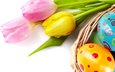 цветы, весна, тюльпаны, пасха, яйца, тульпаны,  цветы, глазунья, декорация, весенние, зеленые пасхальные, довольная