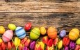 цветы, весна, тюльпаны, пасха, яйца, дерева, тульпаны,  цветы, глазунья, декорация, весенние, зеленые пасхальные, довольная, красочная