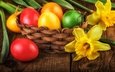 цветы, весна, пасха, яйца,  цветы, глазунья, декорация, весенние, зеленые пасхальные, довольная