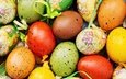пасха, яйца, глазунья, декорация, зеленые пасхальные, довольная