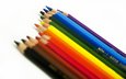 дерево, разноцветные, карандаши, белый фон, цветные, расцветка, дерева, карандашами, цветные карандаши, графит