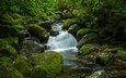 вода, камни, зелень, ручей, мох
