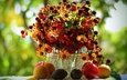 цветы, фрукты, осень, букет, натюрморт, груша, слива, гелениум