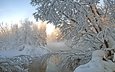 деревья, река, снег, зима
