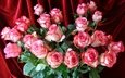 розы, букет, розовый