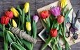 весна, тюльпаны, картинки, ножницы, бечевка