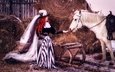 лошадь, снег, девушка, сено, рыжая, волосы, наряд, конь, шляпа, вуаль, дама, барышня