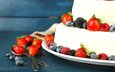 клубника, ягоды, лесные ягоды, черника, торт, десерт, ежевика, кулич, fruits, ватрушка