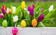 весна, тюльпаны, пасха, яйца, тульпаны, глазунья, весенние, зеленые пасхальные