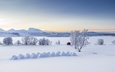деревья, горы, снег, зима, панорама, сугробы, норвегия, избушка, норвегии, lyngen alps, балсфьорд, тромс