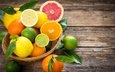 фрукты, лимон, апельсин, лайм, цитрус, цитрусы, грепфрут