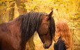 лошадь, девушка, настроение, осень, модель, лицо, конь, грива, длинные волосы, рыжеволосая