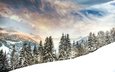 деревья, горы, снег, лес, зима, пейзаж, швейцария, ели, альпы, гштад, bernese alps, бернские альпы
