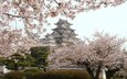 цветение, ветки, замок, япония, весна, сакура, японии, замок химэдзи, himedzi
