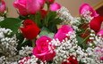 цветы, розы, букет, гипсофила