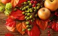 листья, яблоки, осень, лесные ягоды, урожай, плоды, яблок, натюрморт, осен,  листья