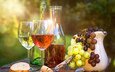 солнце, лучи, виноград, блики, вино, бокалы, вс, вина