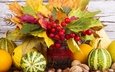 листья, орехи, осень, ягоды, урожай, тыква, натюрморт, осен, fruits, гайки,  листья, красотуля, дары осени
