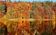 деревья, озеро, лес, листья, отражение, парк, осень, скамья
