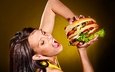 гамбургер, женщин, диета, excess calories