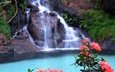 цветы, скалы, природа, зелень, водопад, красные, тропики